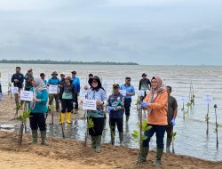Danlanal Bintan Wakili Dankodaeral IV Hadiri Aksi Penanaman Mangrove Serentak Hari Mangrove Sedunia 2026