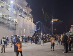 Sinergi Kodaeral XIV dan BBKSDA Papua Barat Daya Berhasil Digagalkan Penyelundupan 3 Burung Kasturi Kepala Hitam