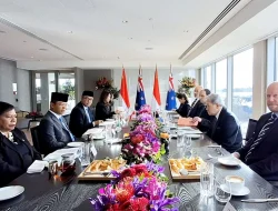 Bukan Cuma Impor Sapi, RI Incar Transfer Teknologi Genetik Susu dari Selandia Baru