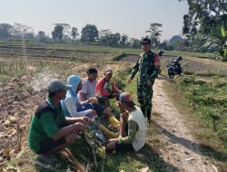 Sinergi Dorong Swasembada Pangan, Serda Fiyan Setyadi Jalin Komsos dengan Poktan Sumber Makmur