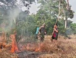 Aksi Tanggap Koramil 0406-03/Rupit Bersama Warga Jinakkan Kebakaran Lahan di Maur Lama