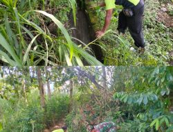 Dukung Ketahanan Pangan, Babinsa Koramil 0808/17 Bakung Turun Langsung Bersihkan Saluran Irigasi
