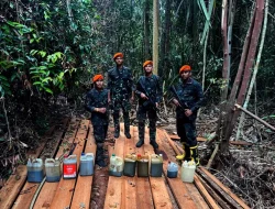 Tembus Langit demi Padamkan Karhutla, Prajurit Yon Parako 462 Pasgat Terjun ke Titik Sasaran