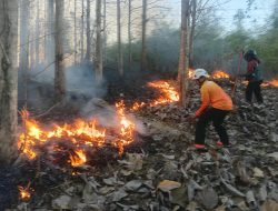 Karhutla 2 Hektar Diterjang Api, Respons Cepat Babinsa dan Tim Gabungan Selamatkan Blitar!
