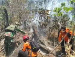 Api Meluas Hingga Pohon Pinus Tumbang, Kodim Wonosobo dan Tim Gabungan Gelar Operasi Pemadaman Karhutla