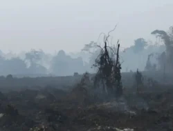 Sumatra Siaga Bencana Lonjakan Ribuan Titik Panas Ancam Kualitas Udara Pekanbaru