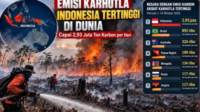 Tembus 2,93 Juta Ton per Hari, Emisi Karbon Karhutla Indonesia Tertinggi di Dunia Versi CAMS